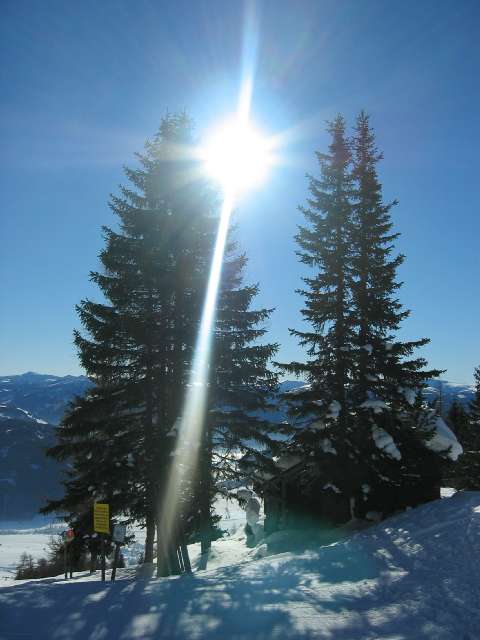 Schifahren Sauschneideralm 2006 006