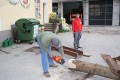 IMG_0607