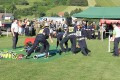 IMG_7637