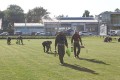 IMG_7663