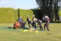 IMG_7725