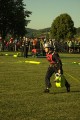 IMG_8629